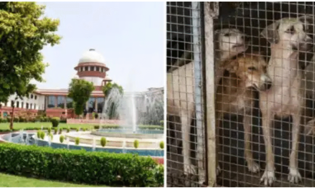 Supreme Court