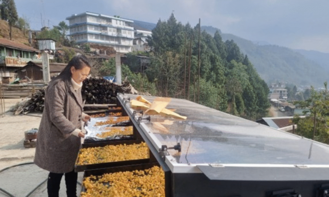 Transforming Sunshine into Livelihoods | Rudra Solar Dryer Empowering Nagaland Farmers