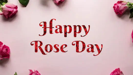Happy Rose Day 2026: Romantic Wishes and Quotes
