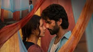 O Romeo Review: Mira Rajput Praises Shahid Kapoor